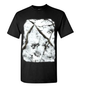 Paw prints in the snow